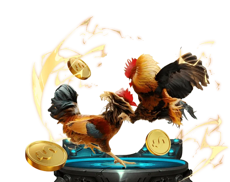 Tổng quan về đá gà Thomo và đặt cược trực tuyến